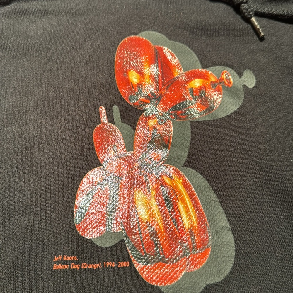 Jeff Koons hoodie from Uniqlo size small - Picture 3 of 4